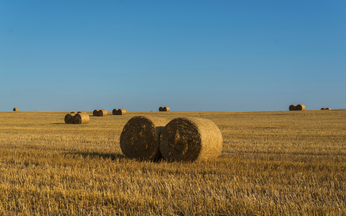 Land Buying 101 in Oklahoma: What to Know Before You Buy